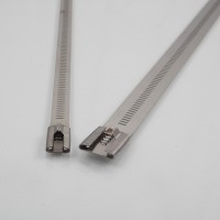 Stainless steel ladder ties