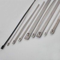 Litex stainless steel ties