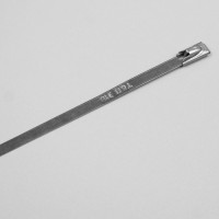 Collier de serrage en Inox (4,6x350mm)